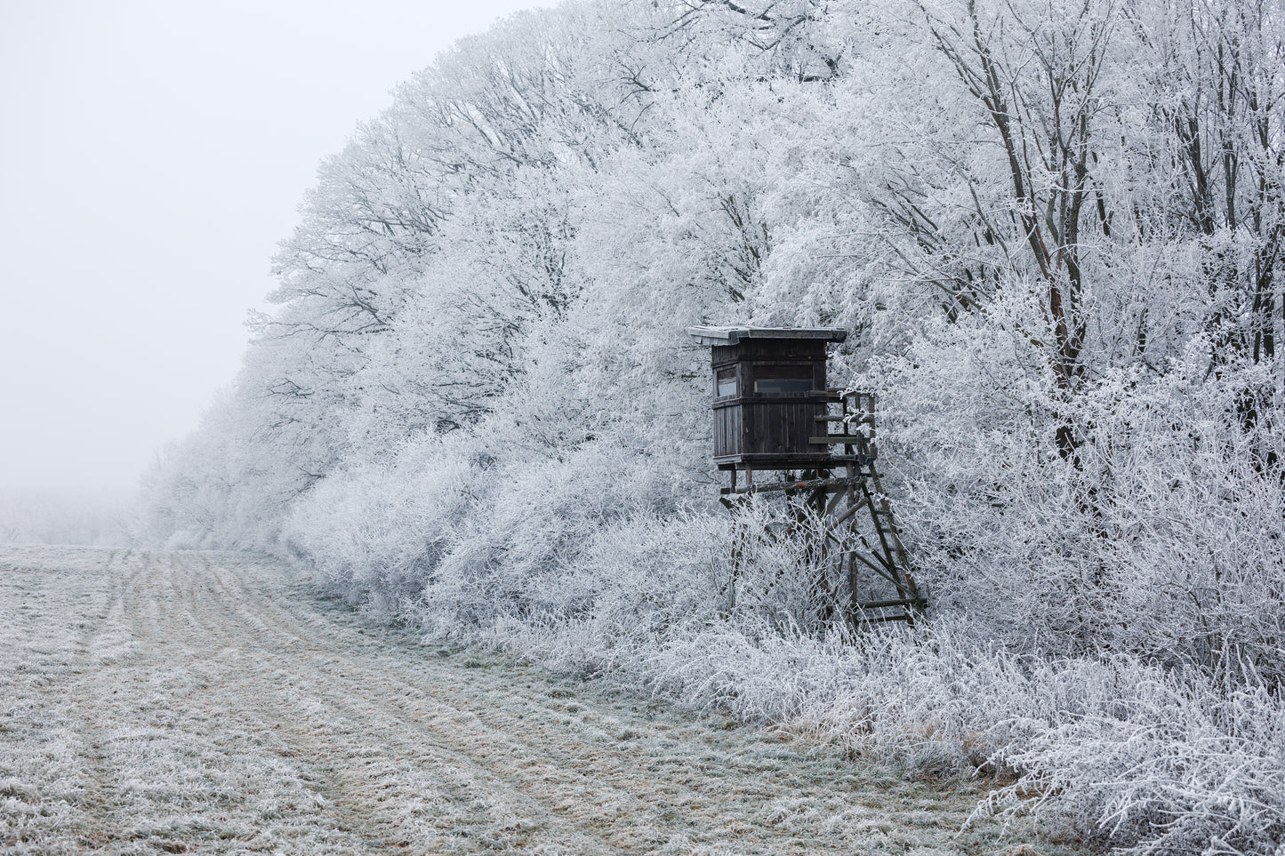 MIRADOR 4 mètres avec une CABANE CLASSIQUE